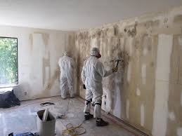 Reliable Cresskill, NJ Mold Removal Solutions